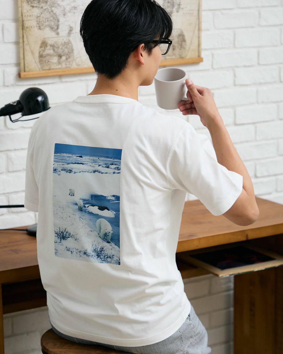 Golden BearシロクマTシャツ | ゴールデンベアストア