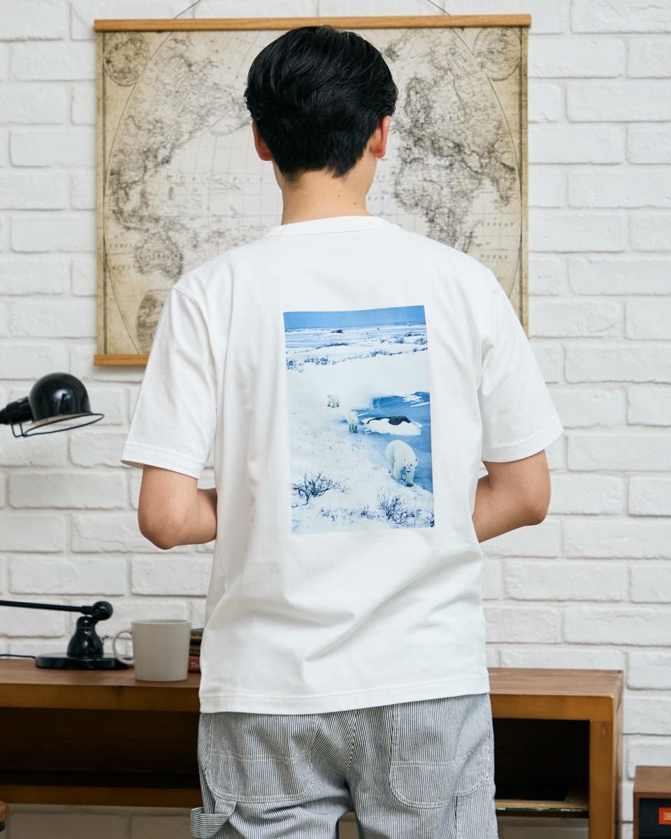 シロクマＴシャツ