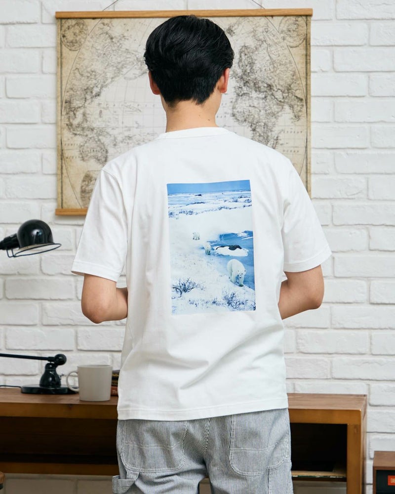 シロクマＴシャツ