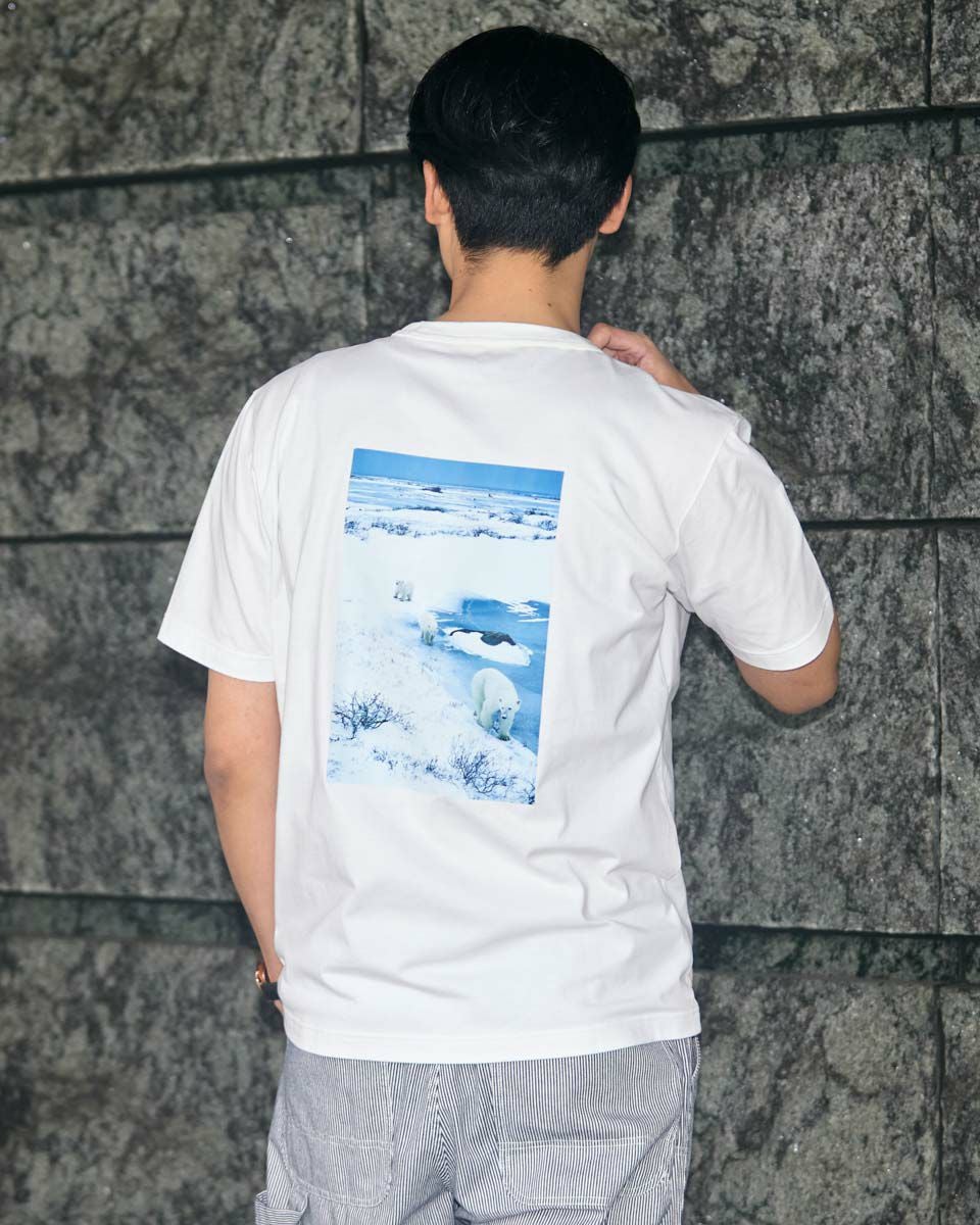 Golden BearシロクマTシャツ | ゴールデンベアストア