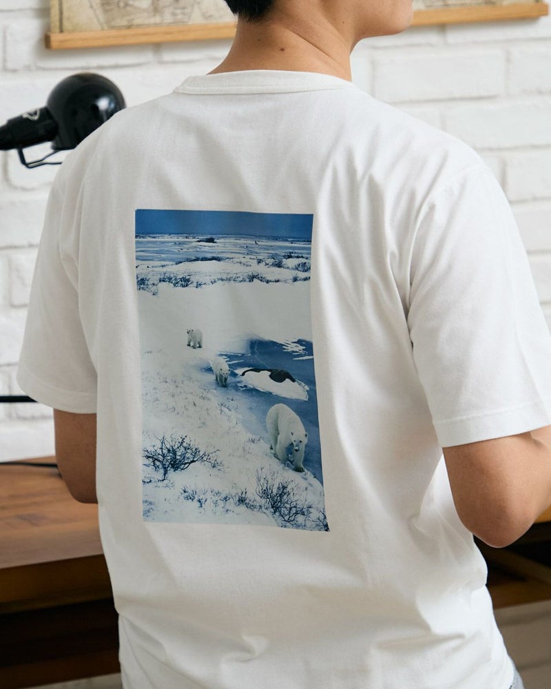 シロクマＴシャツ