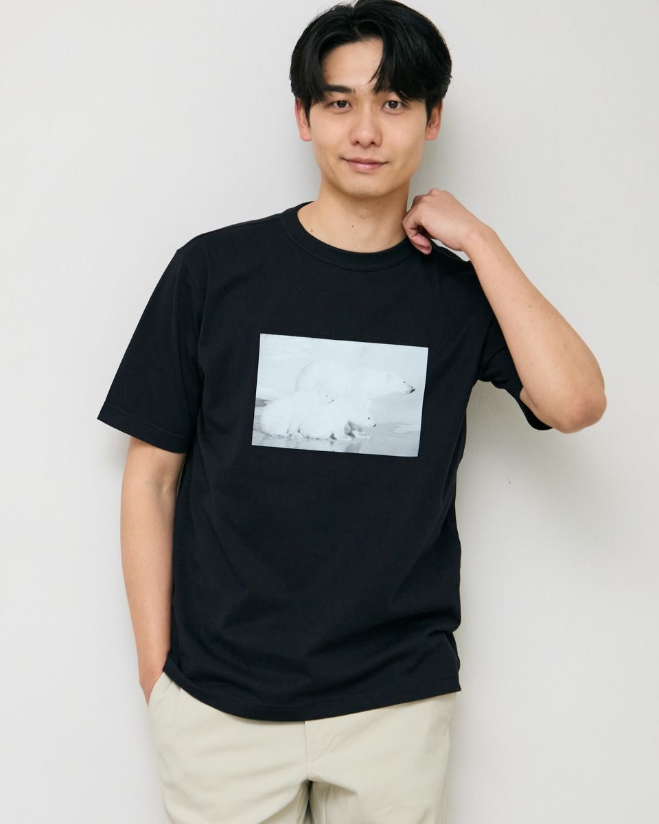 Golden BearシロクマTシャツ | ゴールデンベアストア