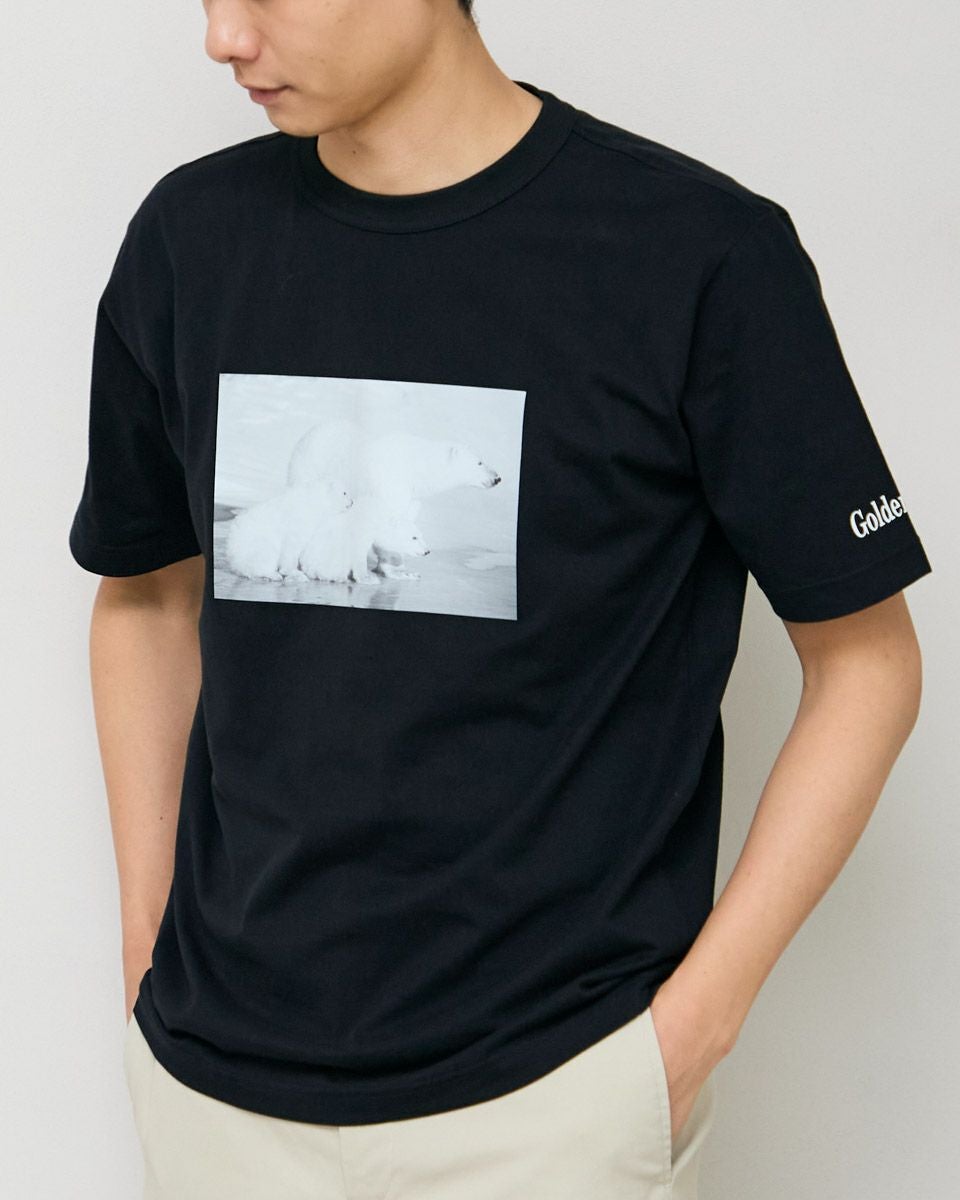 Golden BearシロクマTシャツ | ゴールデンベアストア
