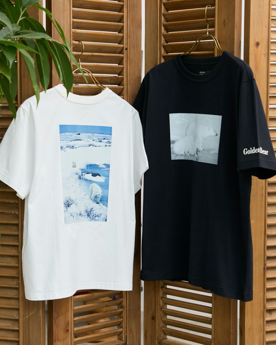 Golden BearシロクマTシャツ | ゴールデンベアストア