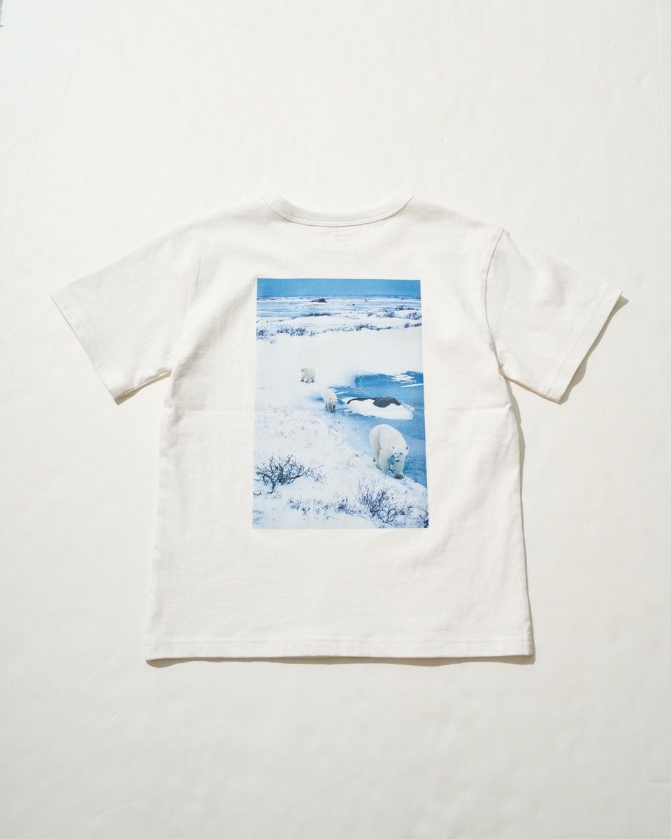 BOYS＆GIRLSシロクマTシャツ | ゴールデンベアストア