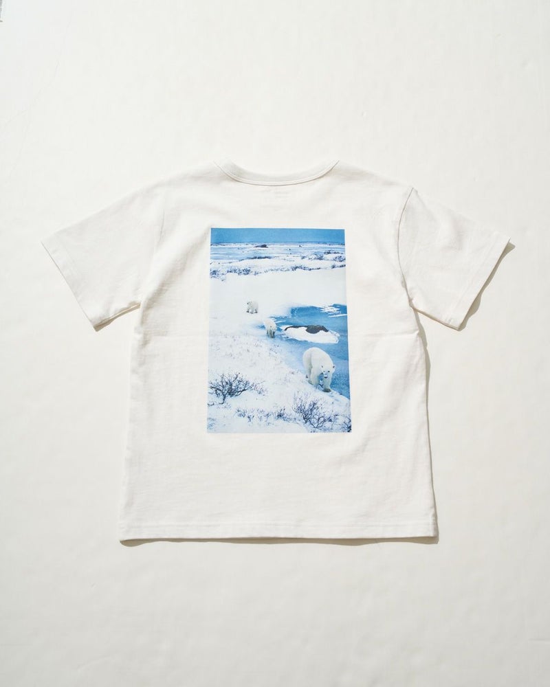 シロクマTシャツ
