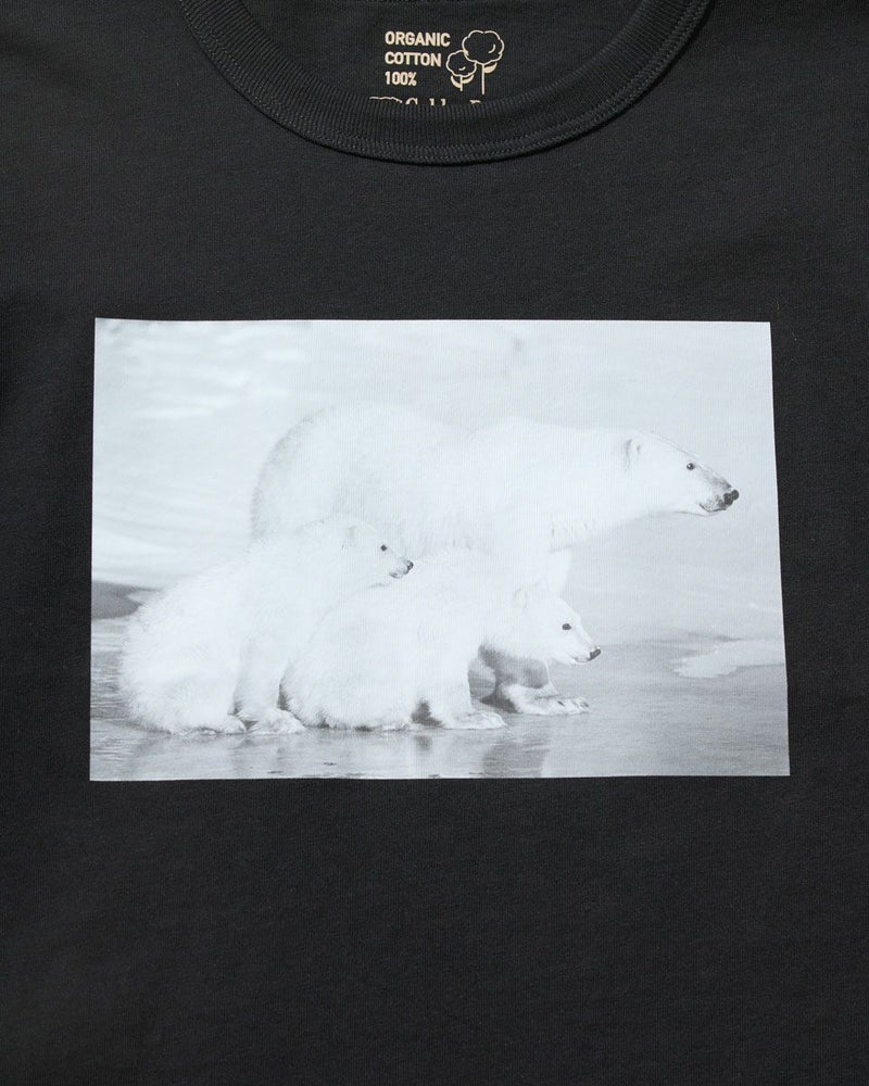 シロクマTシャツ
