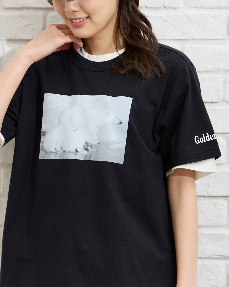 Golden BearシロクマTシャツ | ゴールデンベアストア