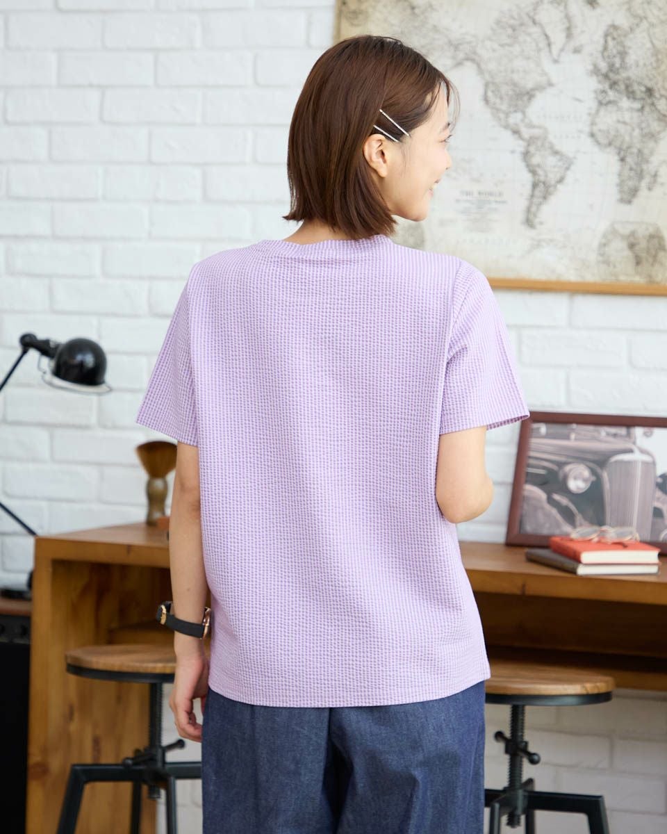 QUEEN SIZEシアサッカーTシャツ | ゴールデンベアストア