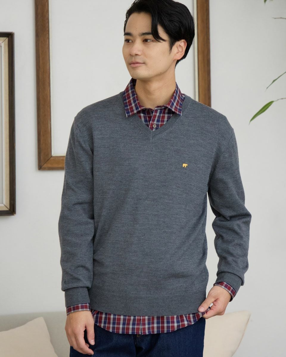 無地Vネックニット