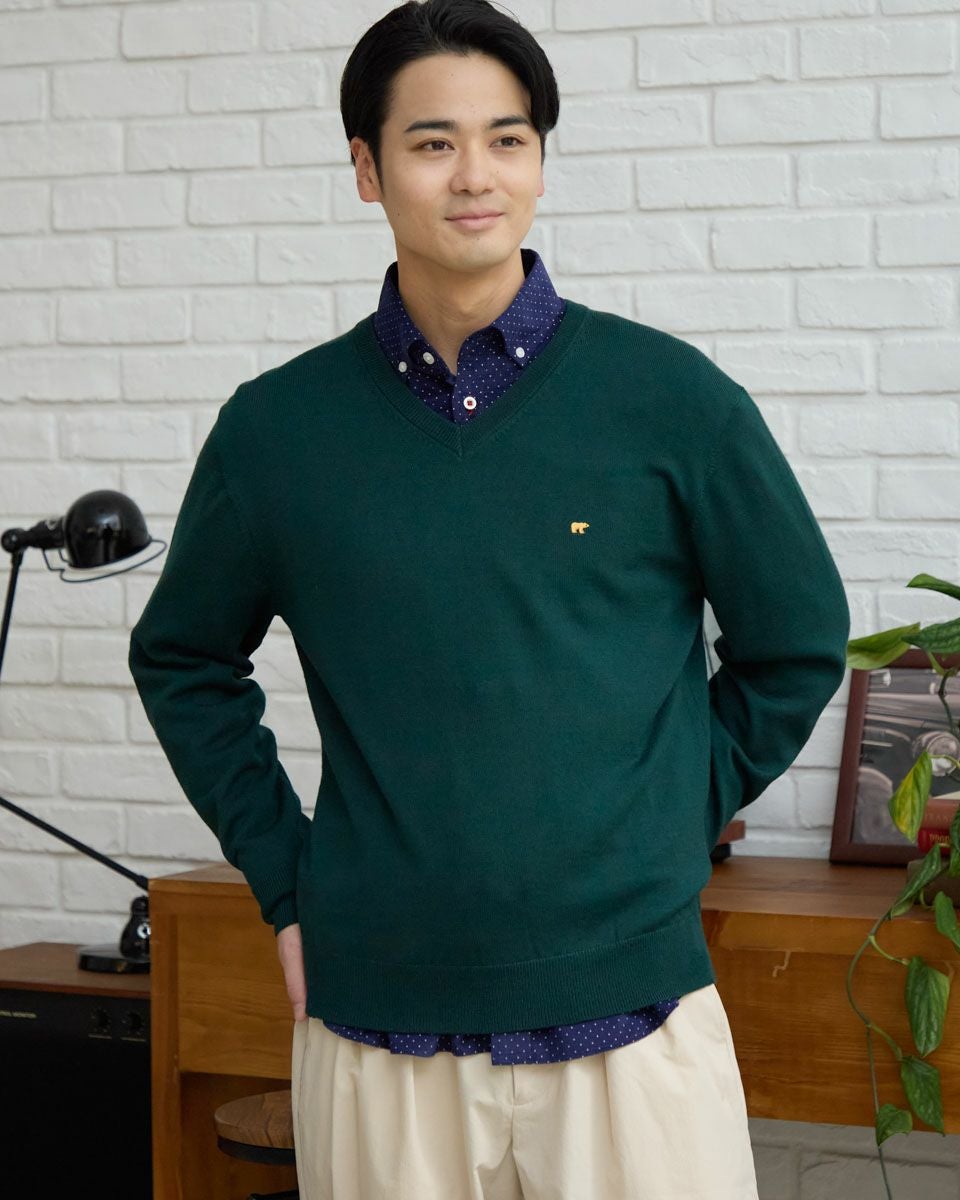 無地Vネックニット