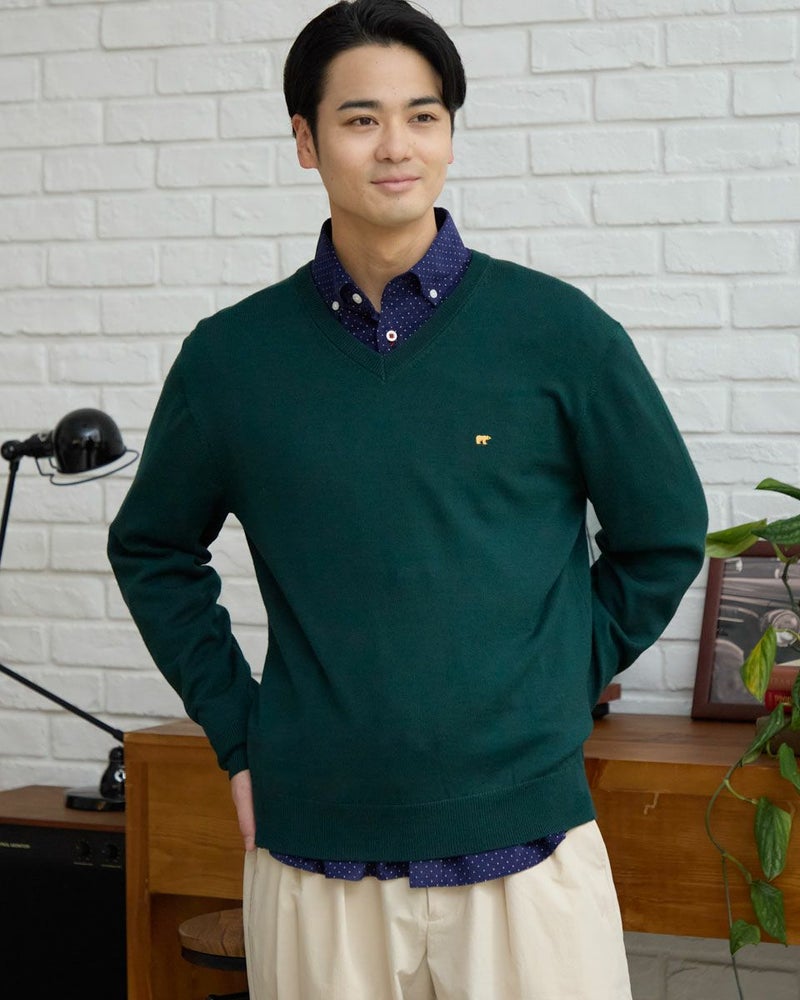 無地Vネックニット