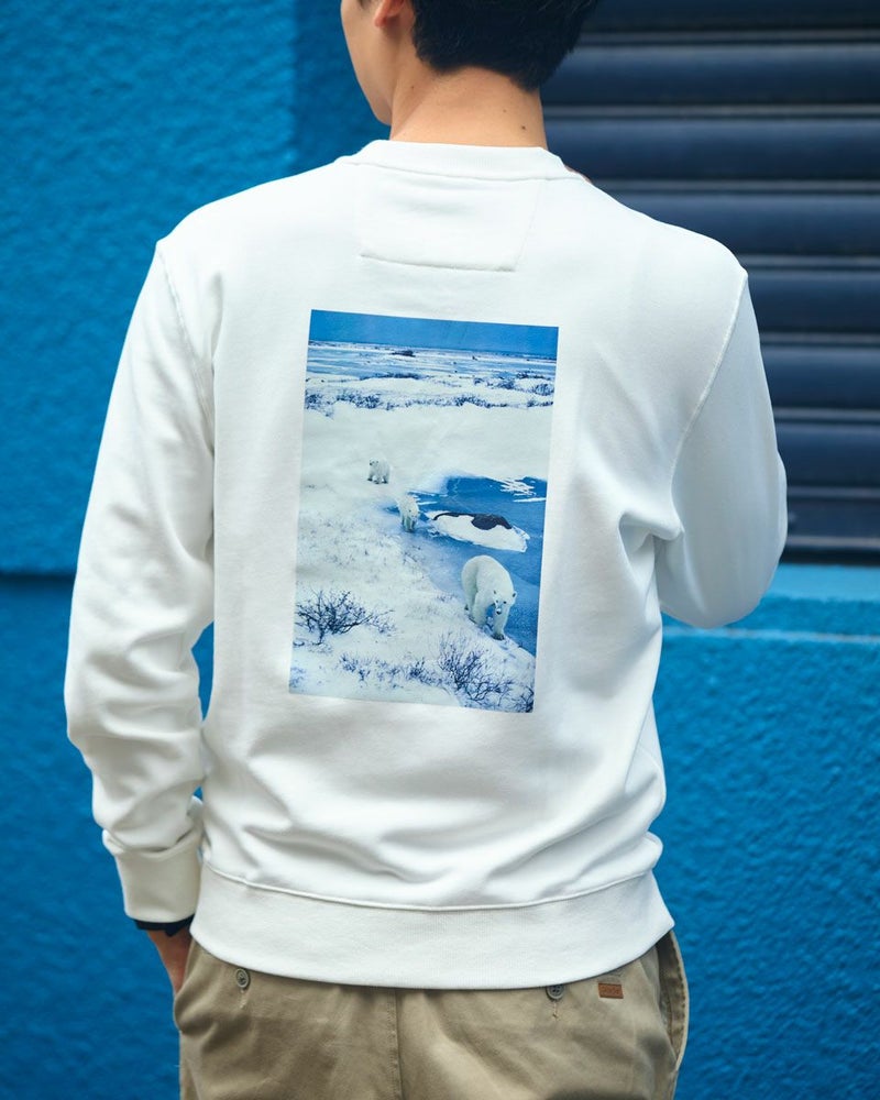 シロクマスウェット