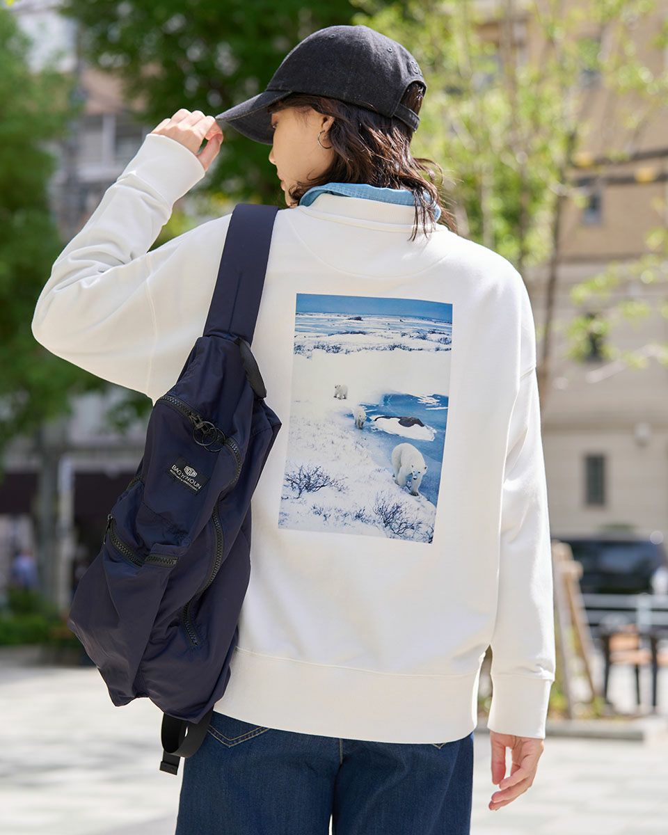 コラボレーション | ゴールデンベアストア