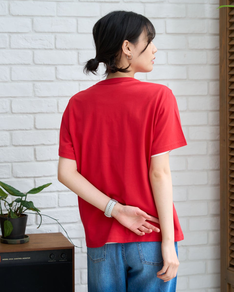 Golden Bear星条旗ベアTシャツ | ゴールデンベアストア