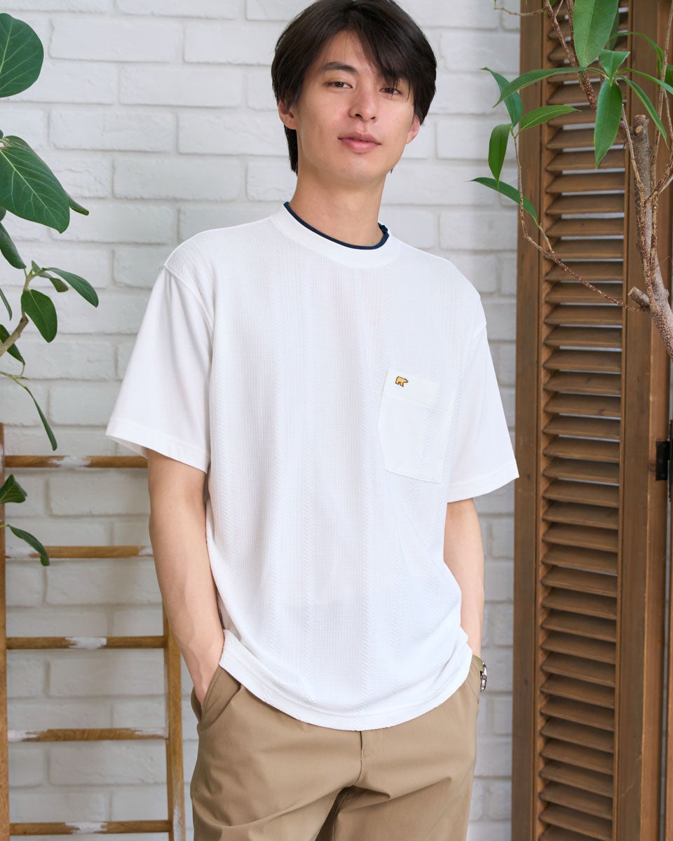 Golden BearジャガードストライプTシャツ | ゴールデンベアストア