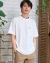  Golden Bear　ゴールデンベア　ジャガードストライプTシャツ