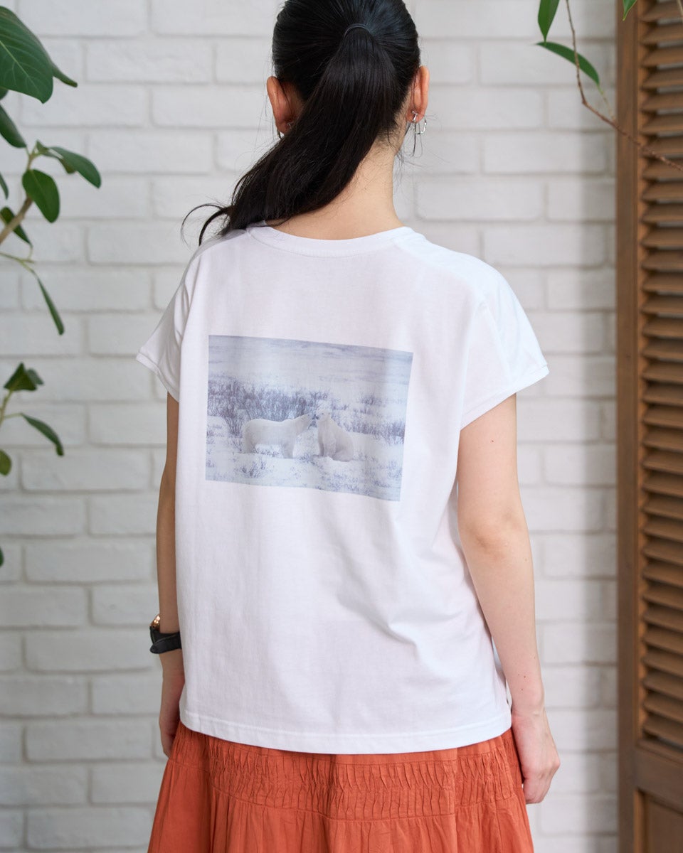 GoldenBear ゴールデンベア オーガニックコットンTシャツ