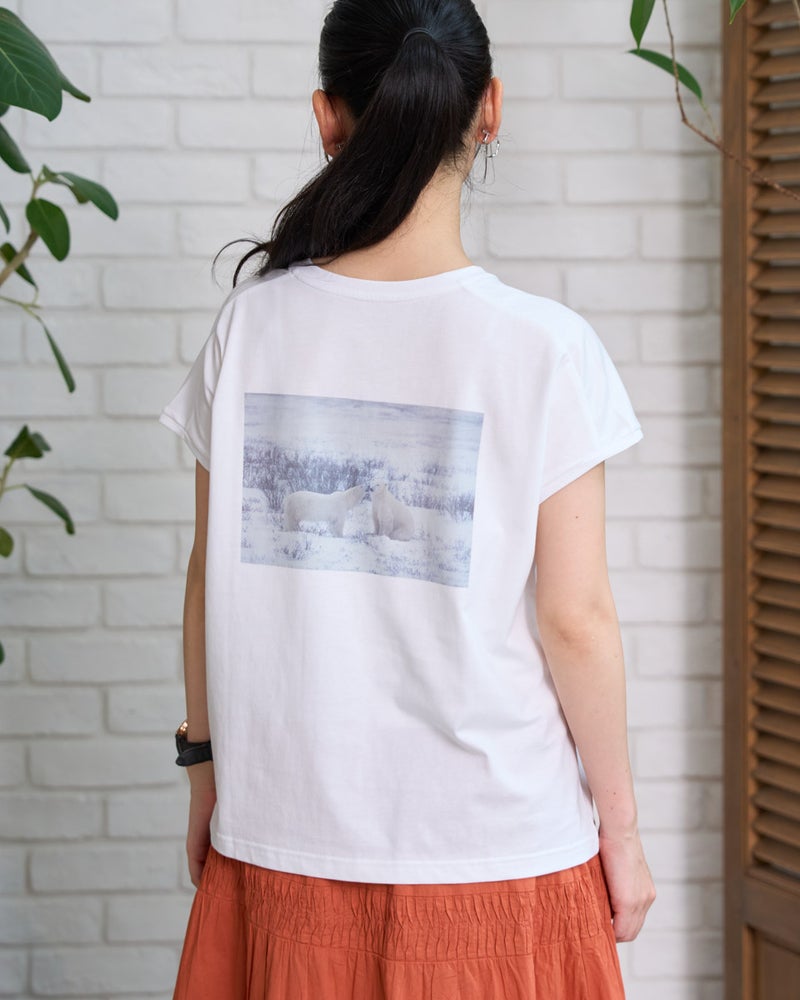 GoldenBear ゴールデンベア オーガニックコットンTシャツ