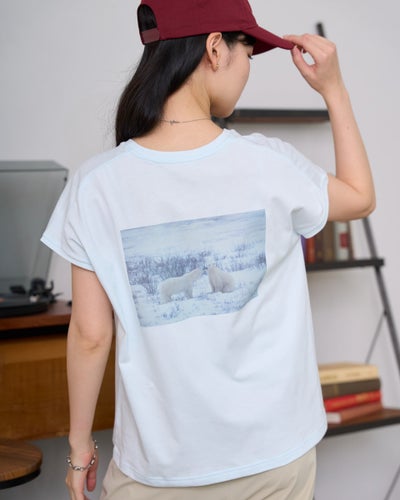GoldenBear ゴールデンベア オーガニックコットンTシャツ