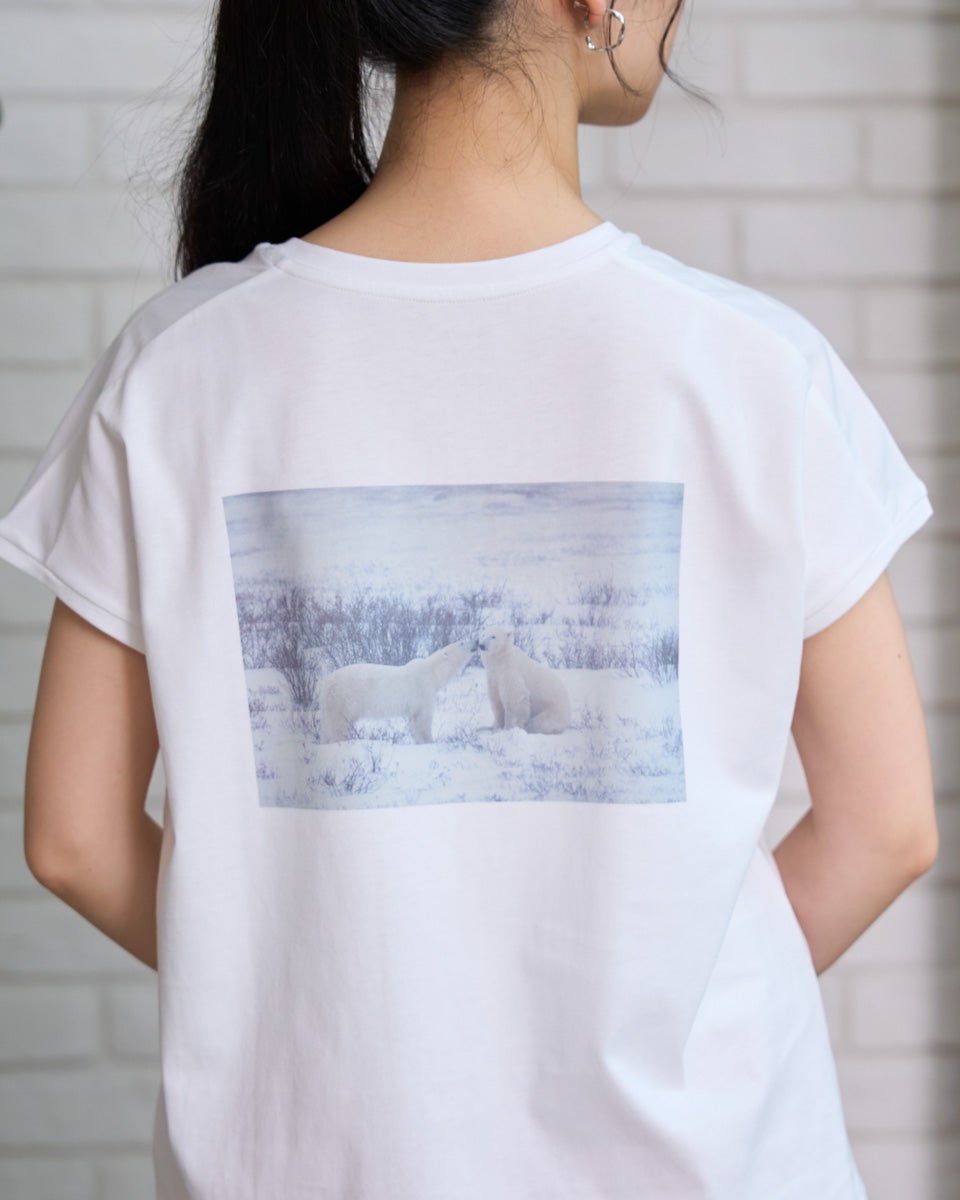 Golden BearシロクマTシャツ | ゴールデンベアストア