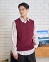 Golden Bear ゴールデンベア Vネックベスト